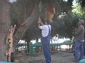 DSCN0651